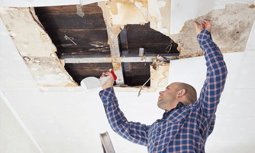 ceiling repair