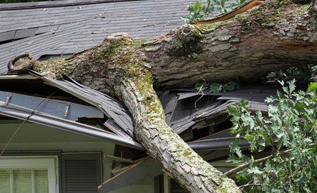 damaged roof