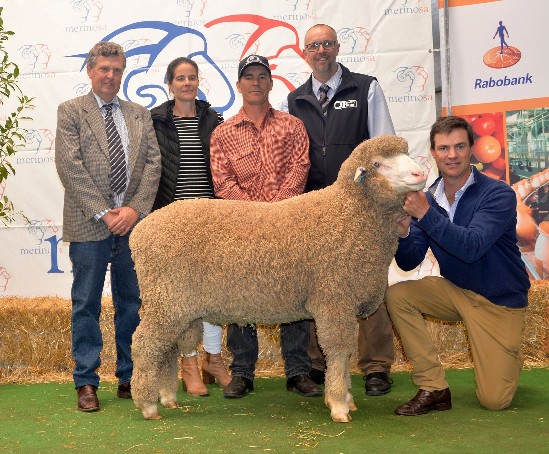 2016 Adelaide Ram Sale