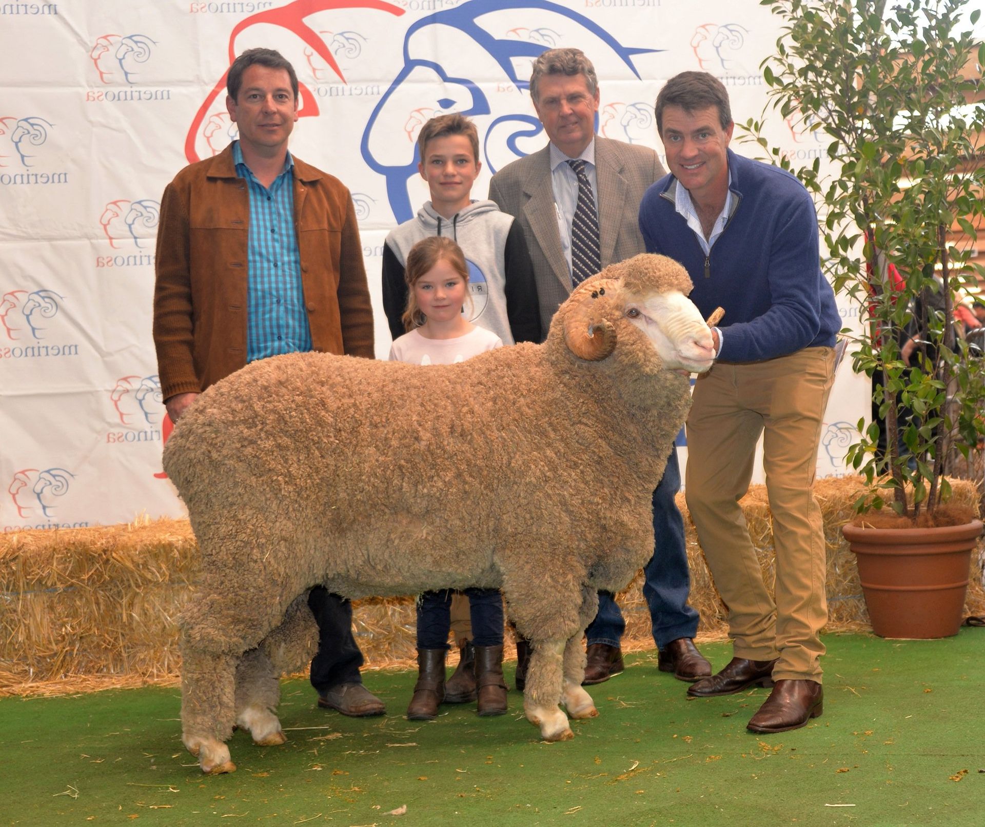 Adelaide Ram Sale