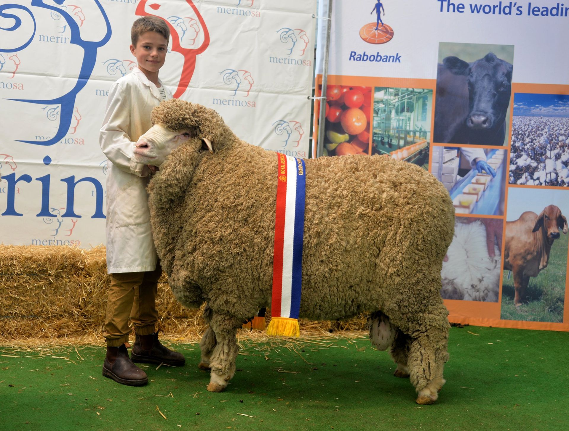 2016 Adelaide Ram Sale