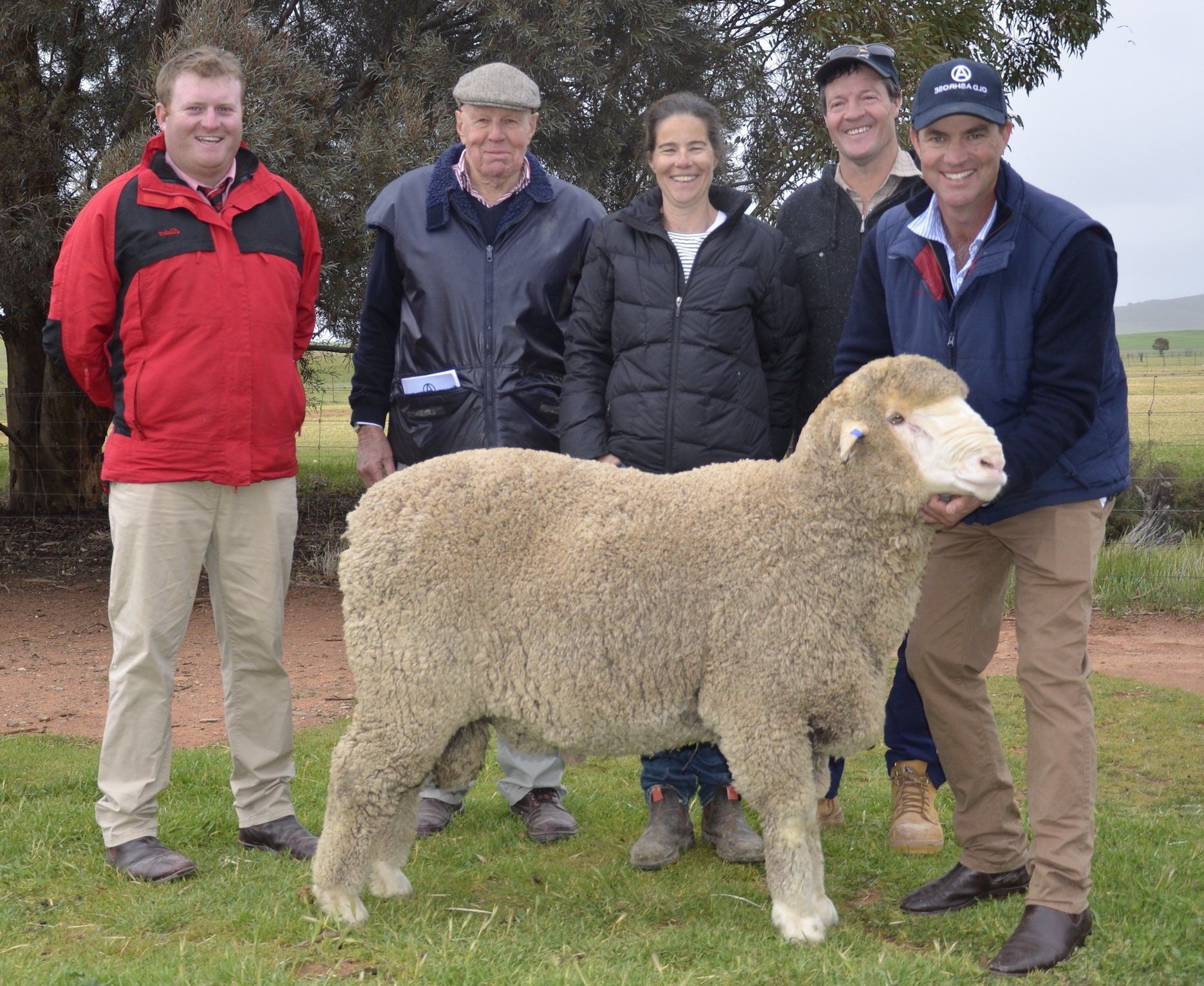 2017 Adelaide Ram Sale