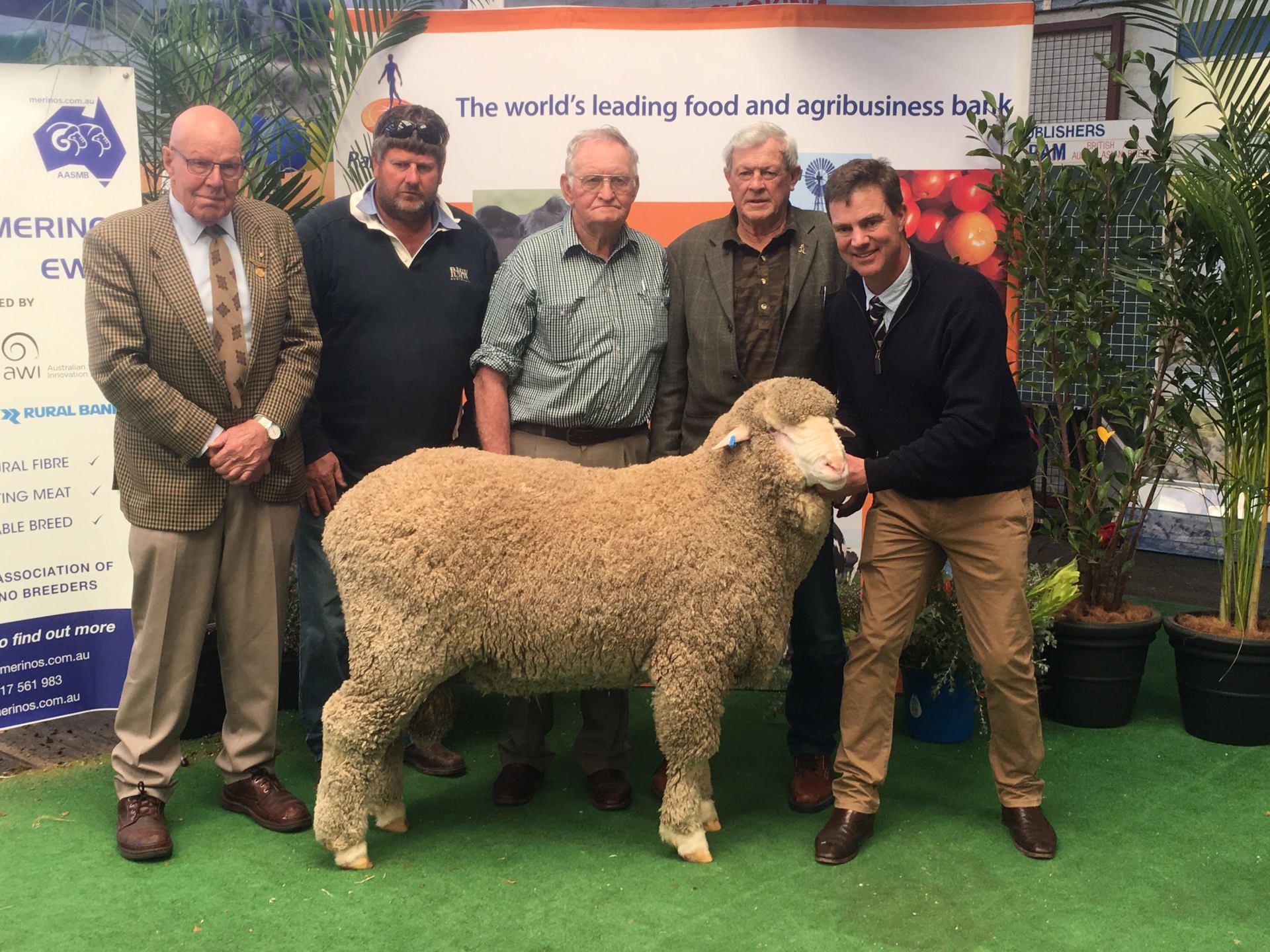 Adelaide Ram Sale
