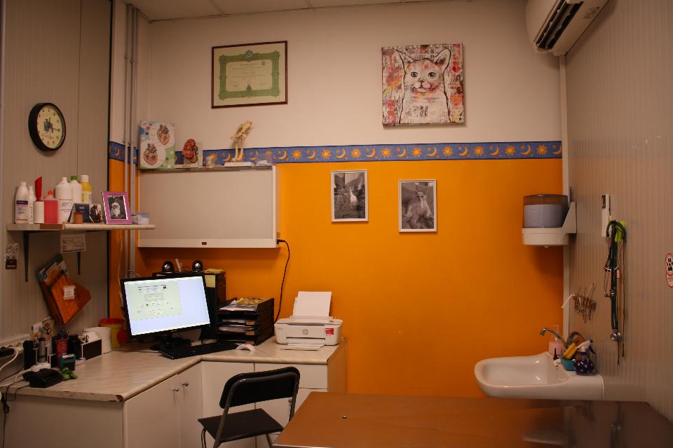 Sala visite veterinarie della Clinica Animal Center a Concesio