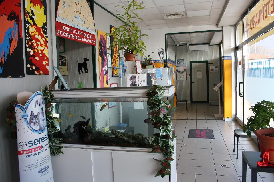 Ambulatorio veterinario della Clinica Animal Center a Concesio