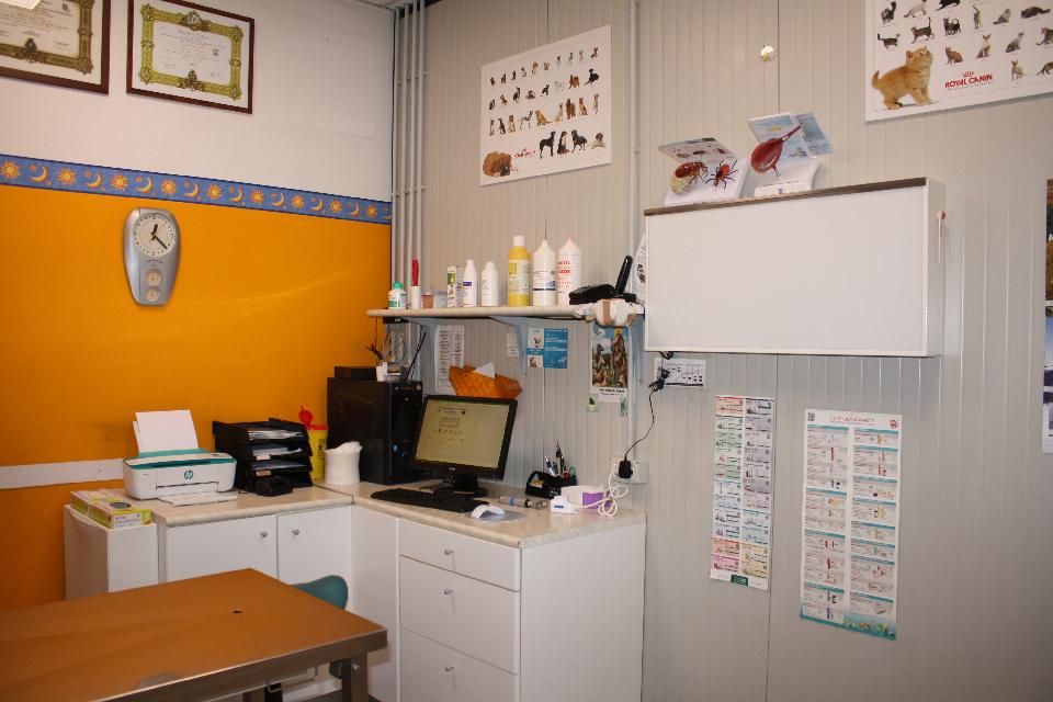 Sala visite veterinarie della Clinica Animal Center a Concesio