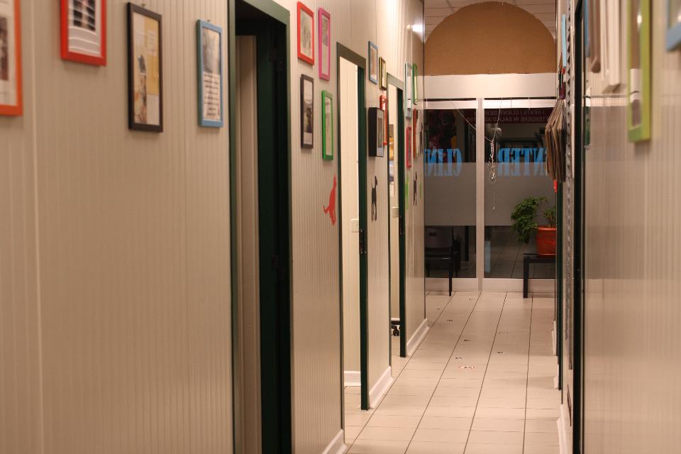 Sala d'attesa della Clinica Veterinaria Animal Center a Concesio