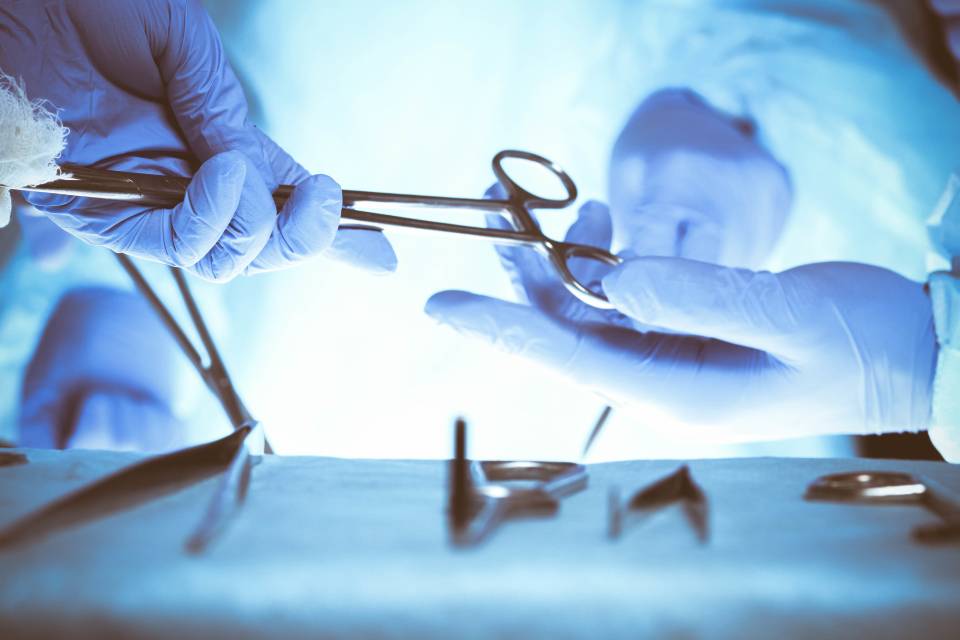 Strumenti chirurgici per interventi veterinari a Brescia 