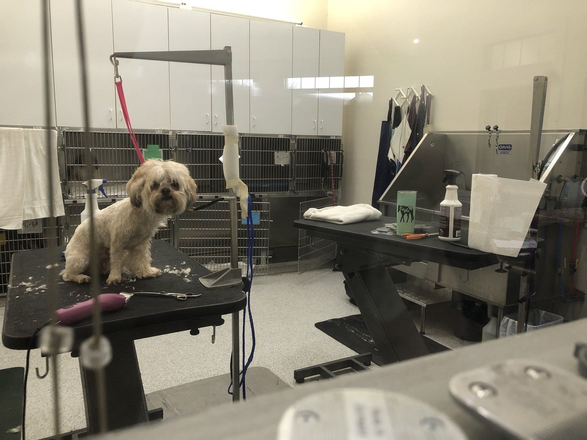Grooming