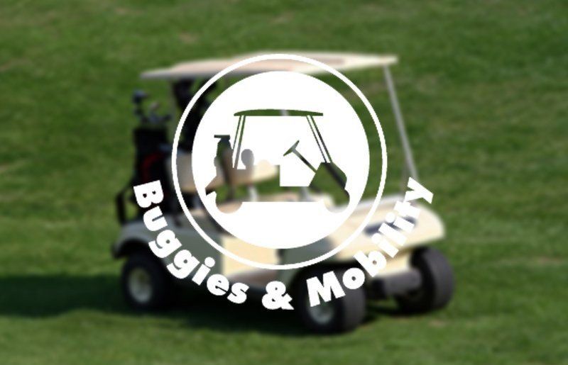 Buggy & Mobility Battery