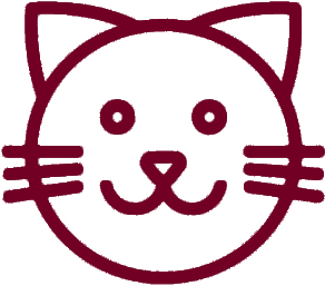 happy cat