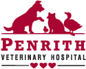 penrith veterinary hospital penrith veterinary hospital