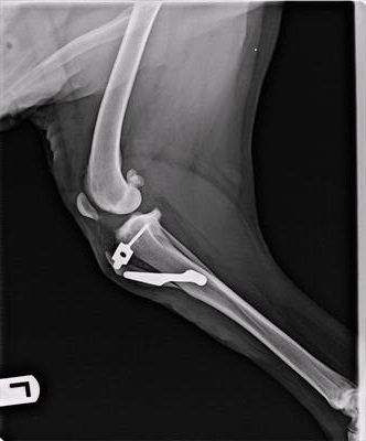 TTA xray