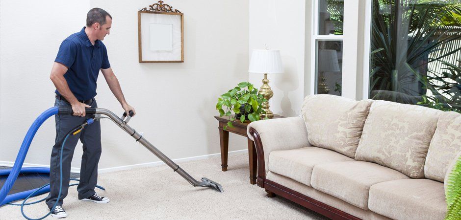 Domestic cleaners