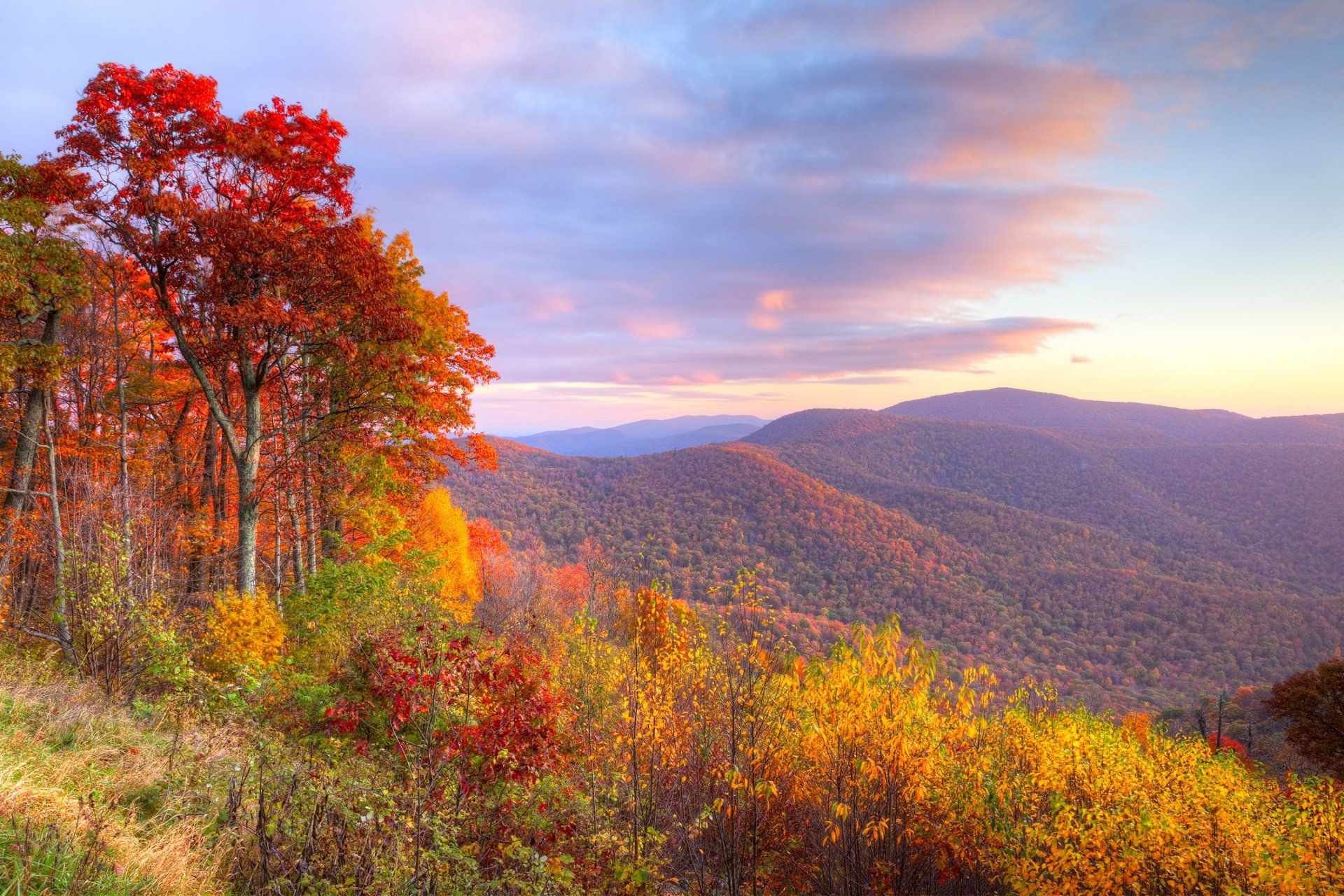 Sunrise in Autumn  — Richmond, VA — Old Dominion Floor Company