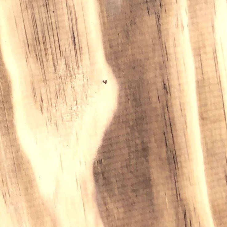 Yakisugi | Accoya | Flammé  | Pas modifié | Sans finition