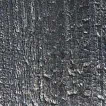 Yakisugi | Accoya | Light | Pas modifié | Sans finition