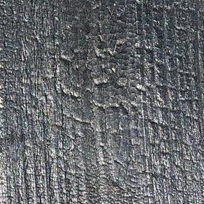 Yakisugi | Accoya | Medium | Pas modifié | Sans finition