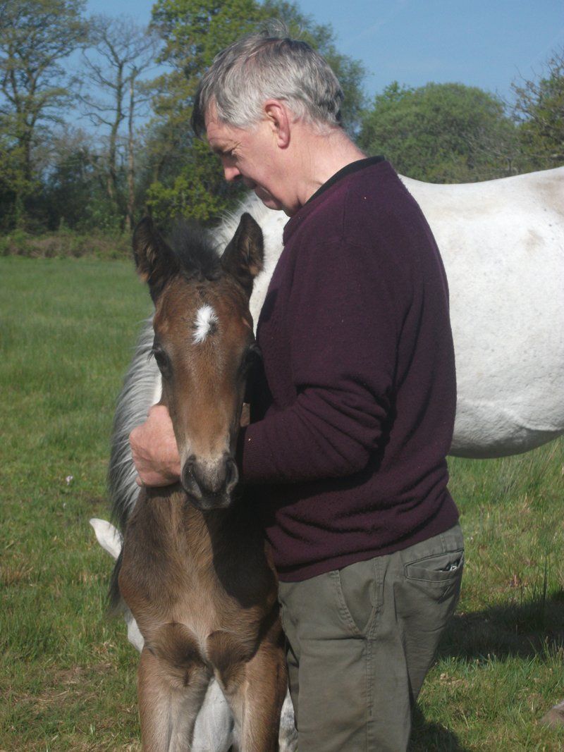 a man with a pony