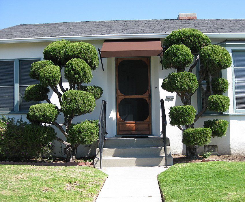 Front entrance of a house with sculpted topiary trees flanking the walkway and doorway