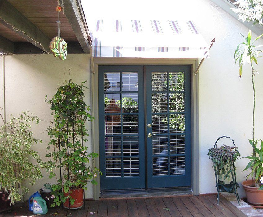Blue double doors on a wooden porch, flanked by potted plants and hanging greenery.