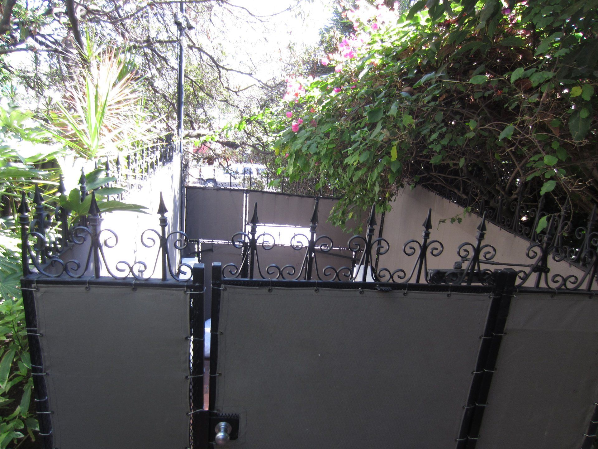 Black metal gate in front of a garden with dense green foliage and pink flowers