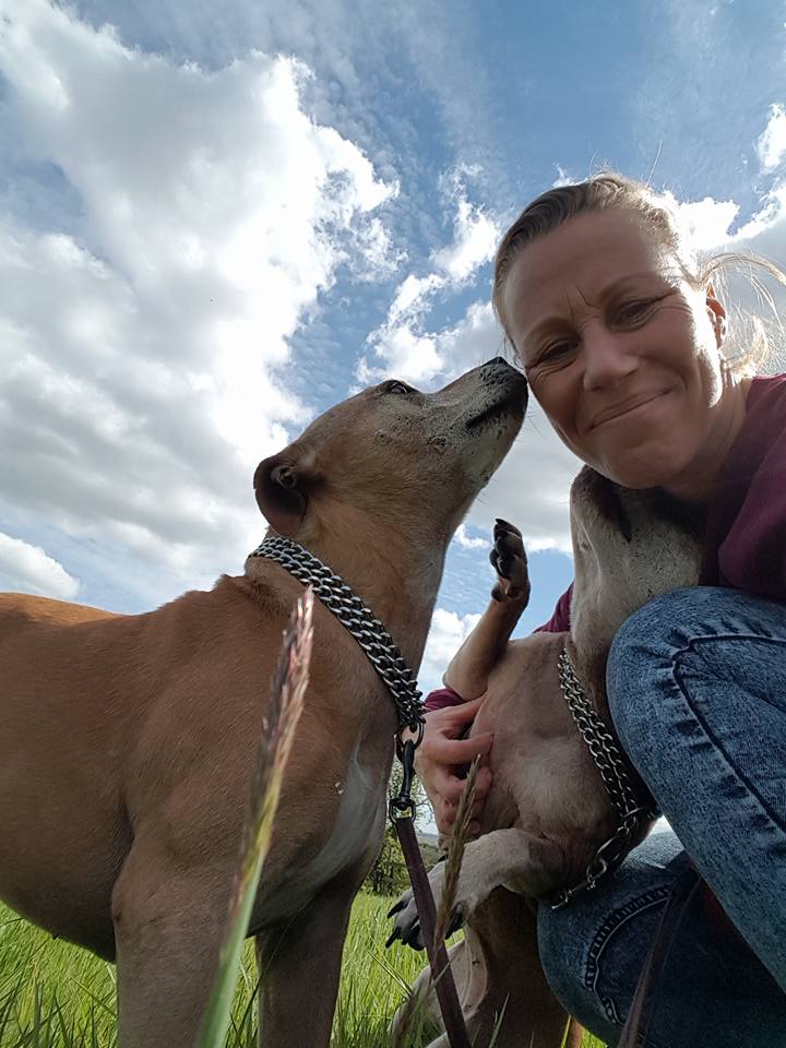dog showing affection