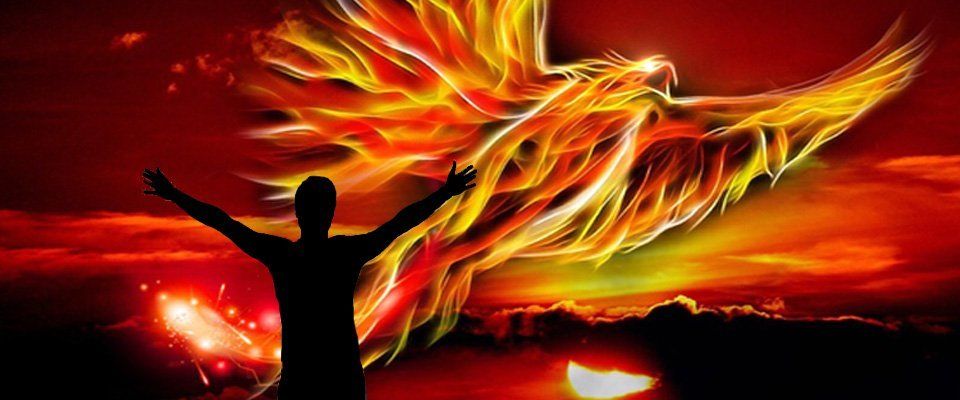Phoenix Rising