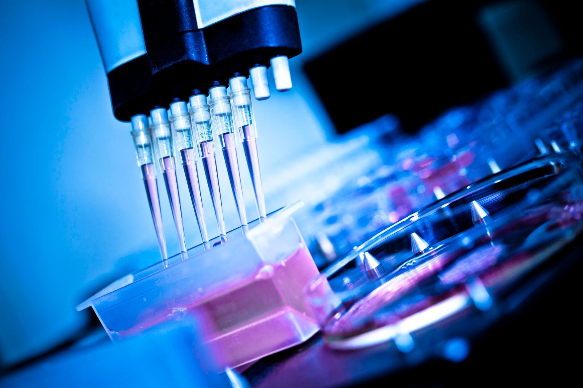 Laboratorio analisi chimiche LSG