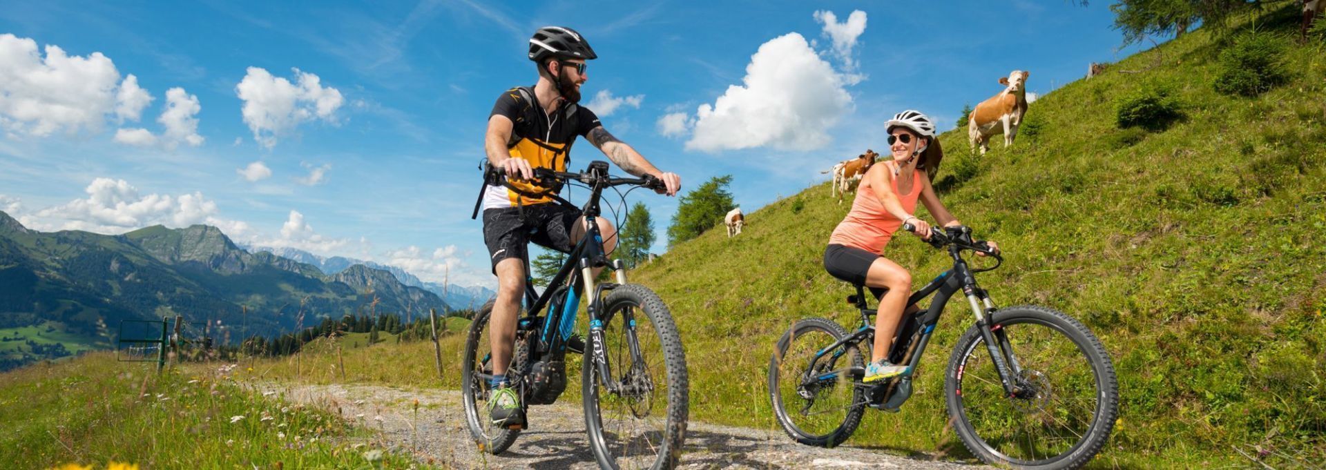 E-Bikes auf den Bergen im Sommer mit grüner Wiese und Kühen