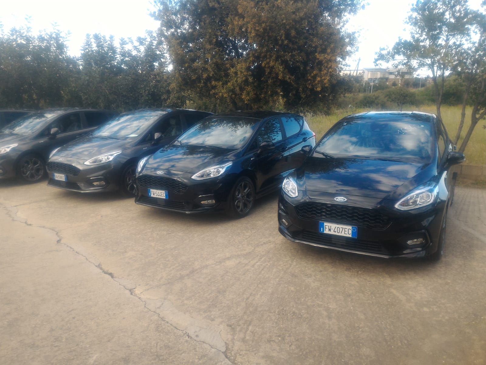 noleggio ford nere