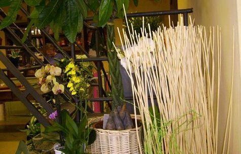 Negozio di fiori