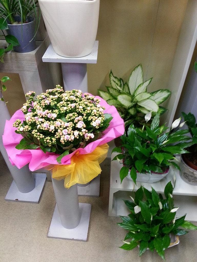 Mazzo di fiori