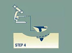 Step 4 Step 4