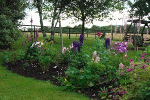 Garden maintenance