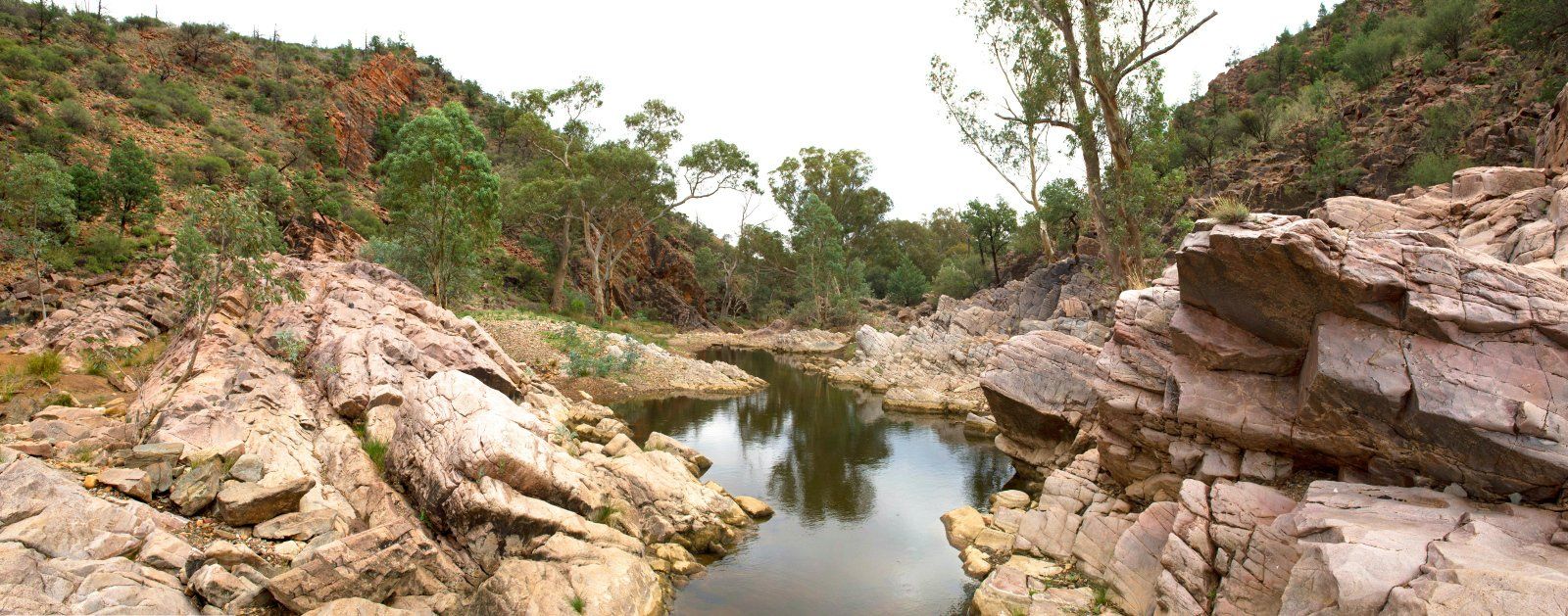 Self-drive 4WD track waterhole