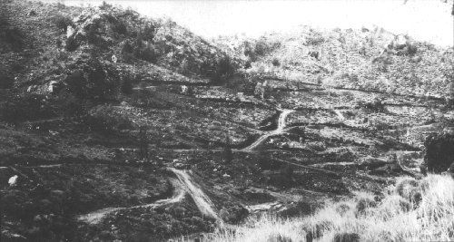 Mount Gee Arkaroola Flinders Ranges