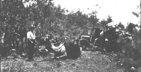 Flinders Ranges Arkaroola history- man and camel