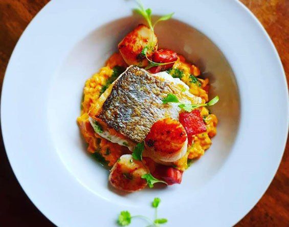dish 1