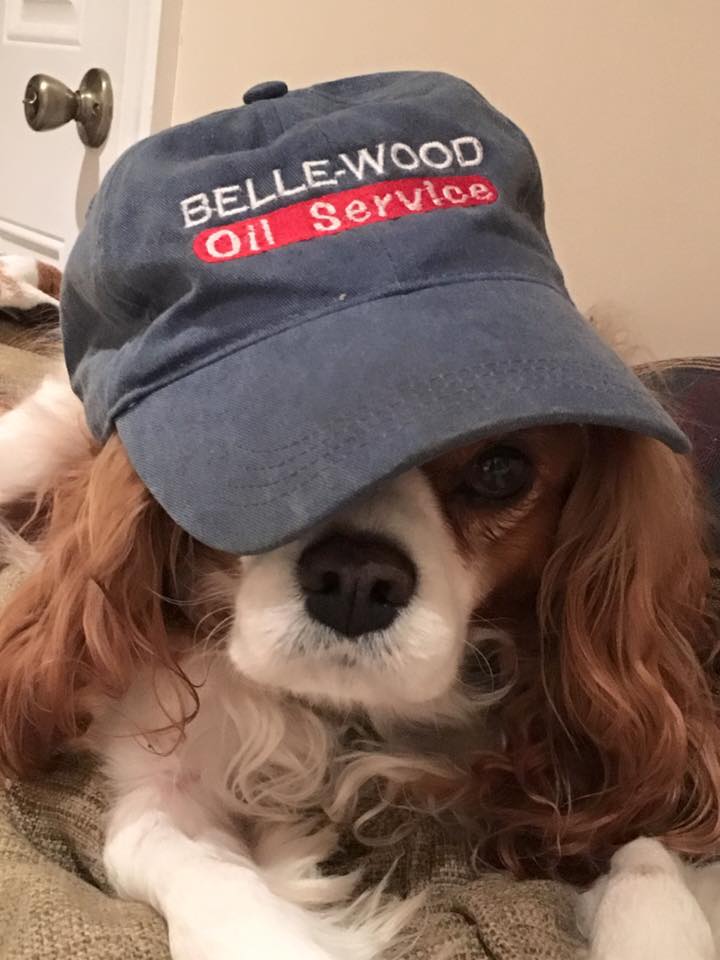 Dog — Delivery in Woodbine, NJ