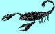 scorpion picture
