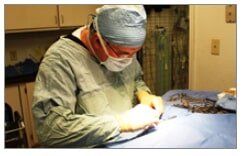 Vet Services-Gatesville, TX-Coryell Veterinary Clinic Vet Services-Gatesville, TX-Coryell Veterinary Clinic