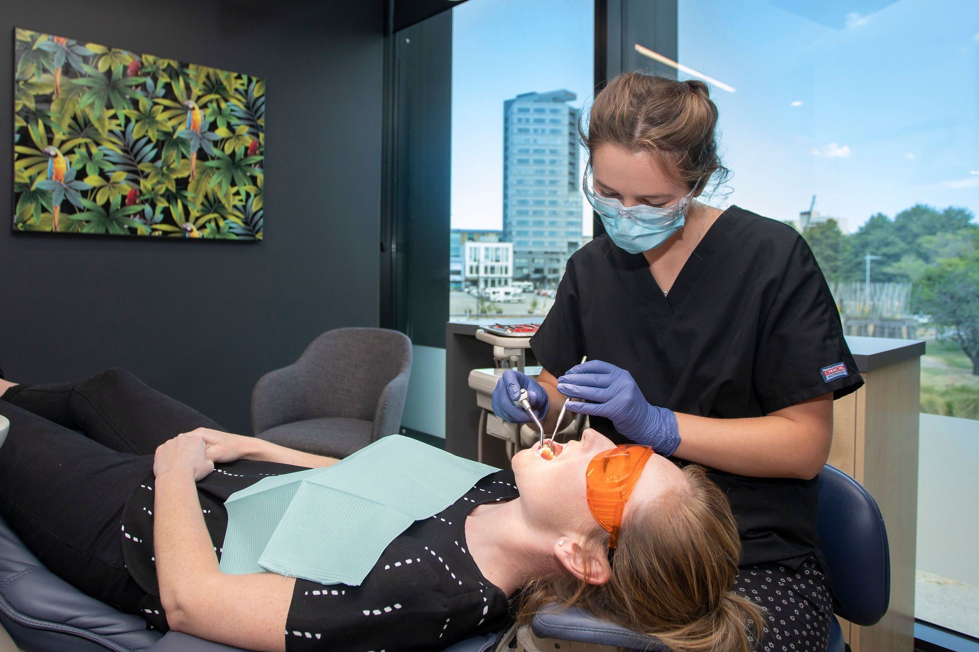 Christchurch Dentist _ Dental on Kilmore
