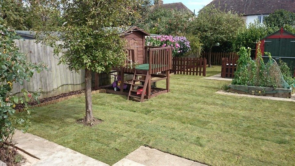 garden renovation
