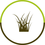 icon of grass 