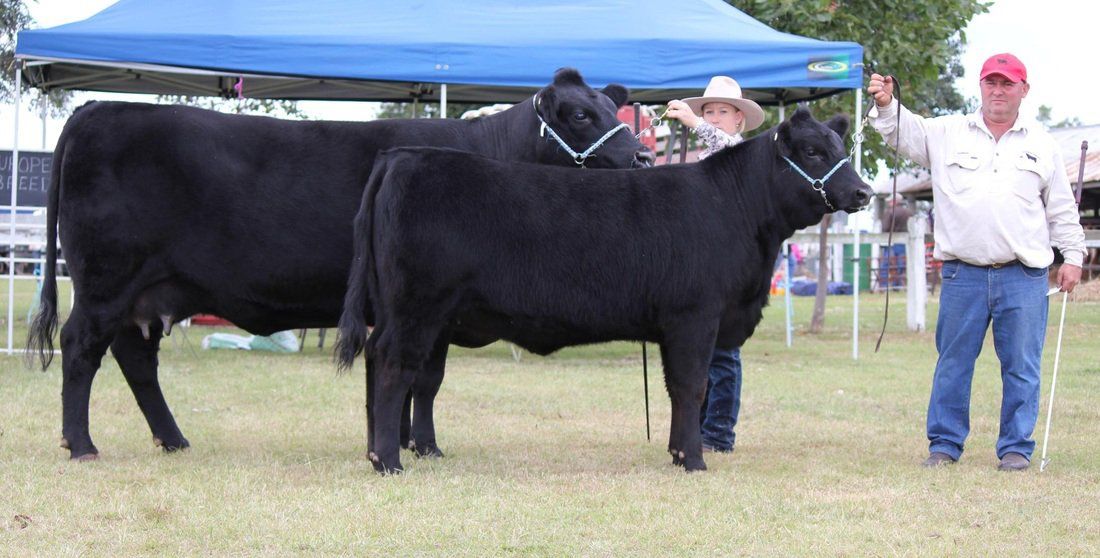 Agro - Emerald 2012
