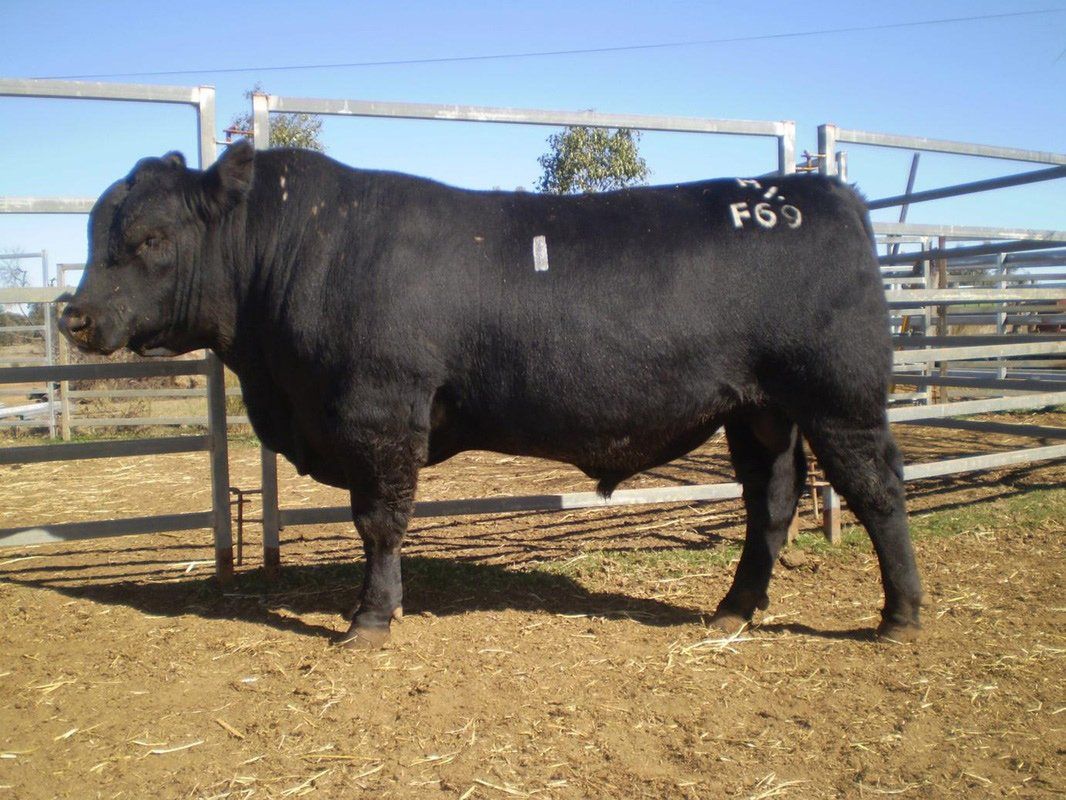 Agro - Emerald 2012