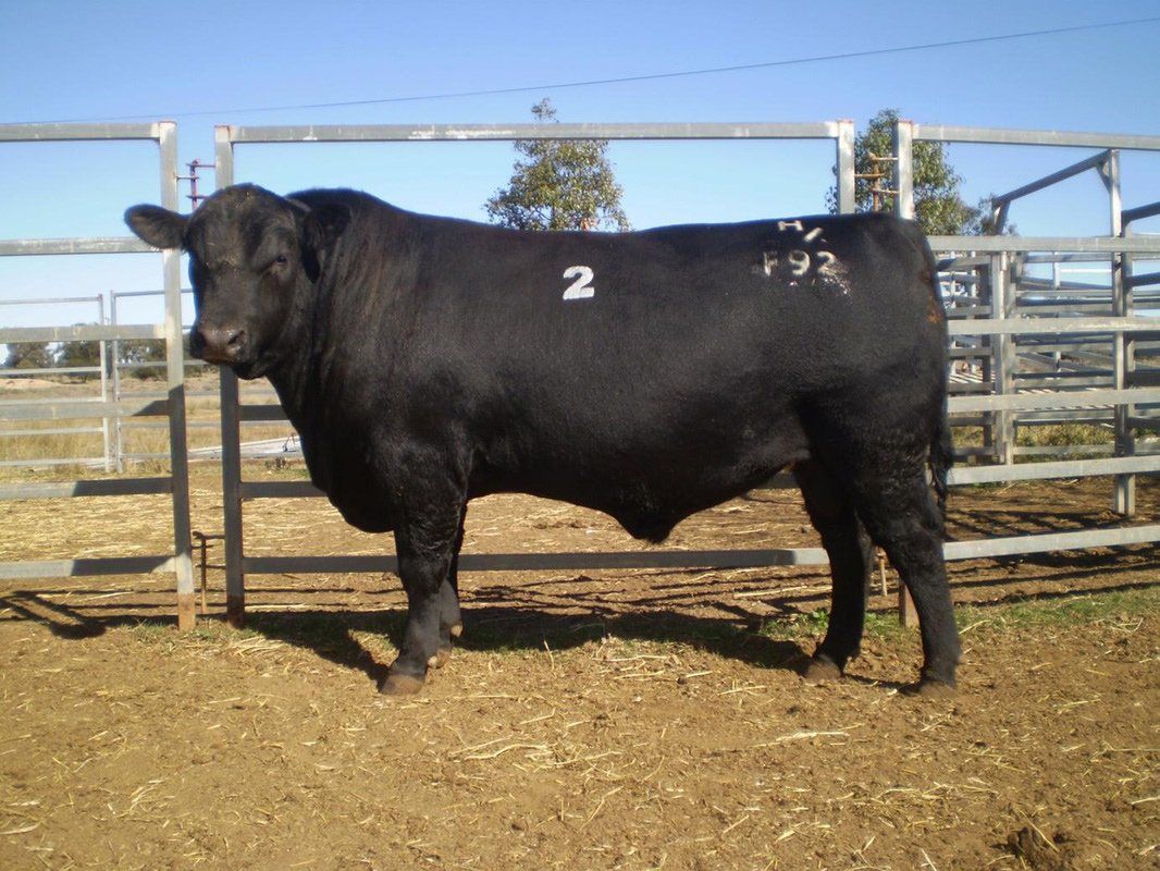 Agro - Emerald 2012