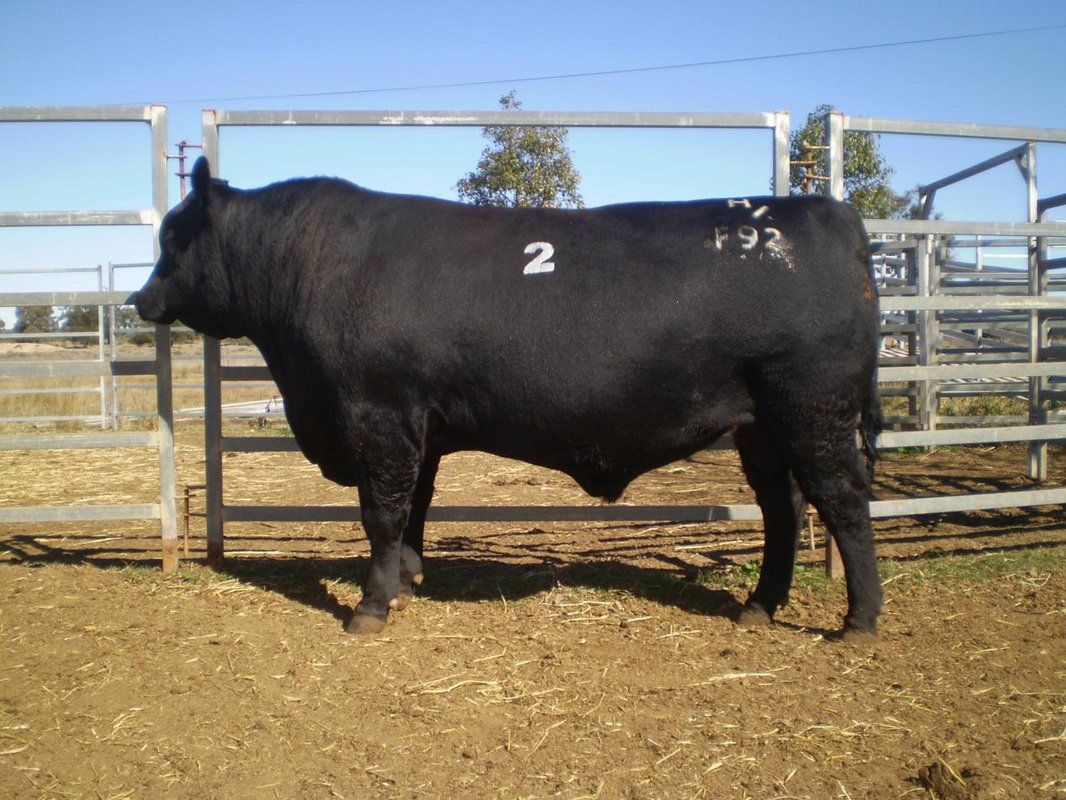 Agro - Emerald 2012