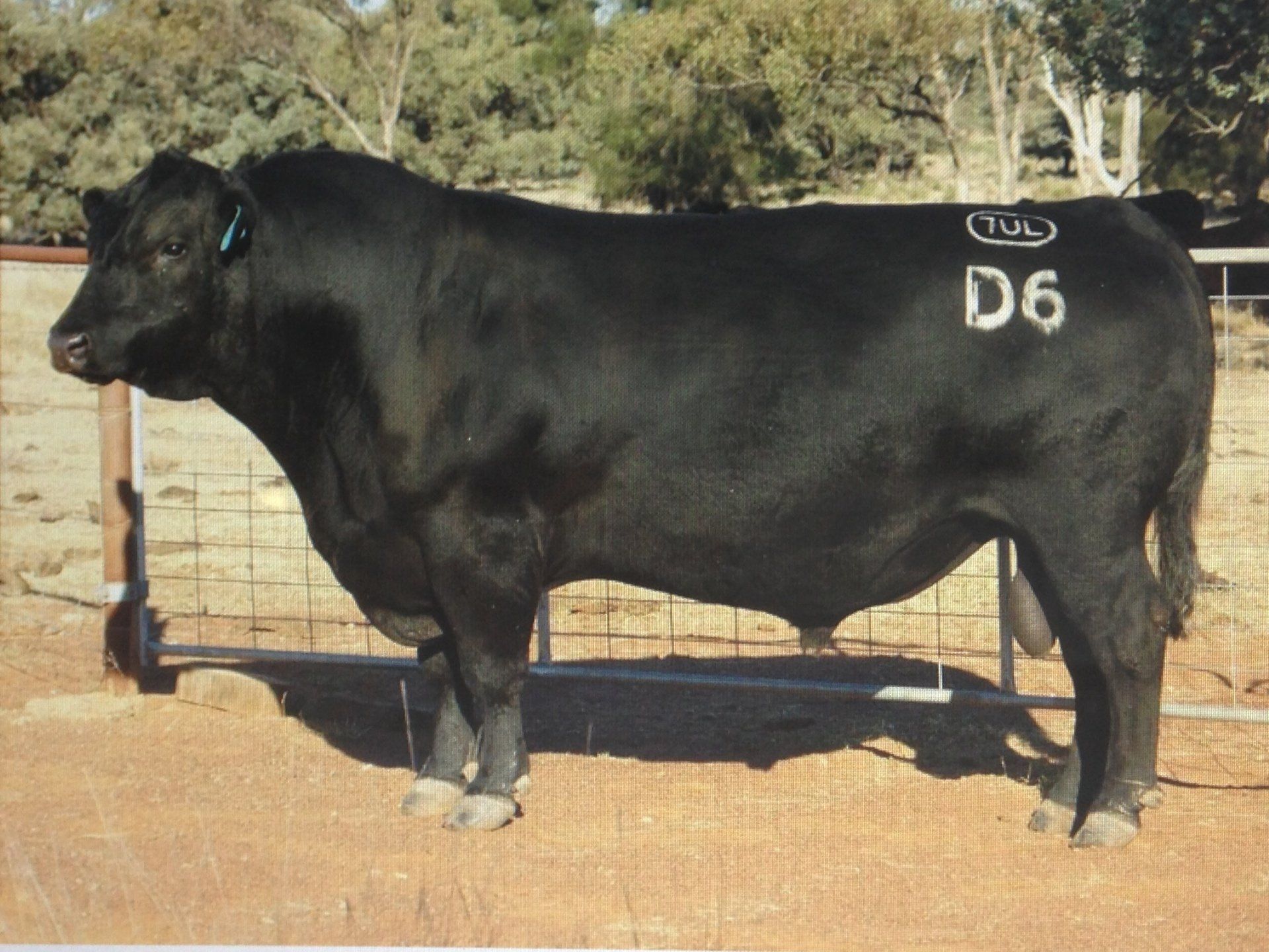 The Grange Wheelwright D6